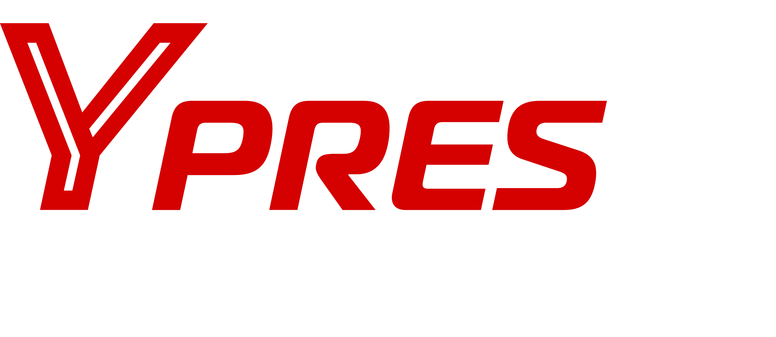 Logo rally ypres white