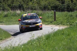 Allart E Wallonie MSD jfm
